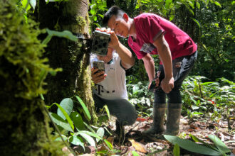 Paraecologists Olger Kitiar (left) and Jhostin Antún eagerly check a camera trap tucked into the forest on Maikiuants territory on Nov. 29, 2025.