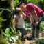 Paraecologists Olger Kitiar (left) and Jhostin Antún eagerly check a camera trap tucked into the forest on Maikiuants territory on Nov. 29, 2025.