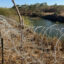 Concertina wire was recently placed along the Rio Grande in Roma, Texas, as contractors clear vegetation along the river. Credit: Martha Pskowski/Inside Climate News
