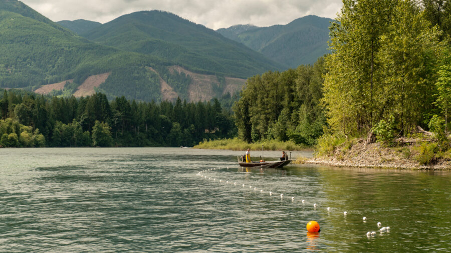 Upper Skagit Tribal members harvest Baker River sockeye salmon at the Skagit River confluence in Washington. Credit: Northwest Indian Fisheries Commission