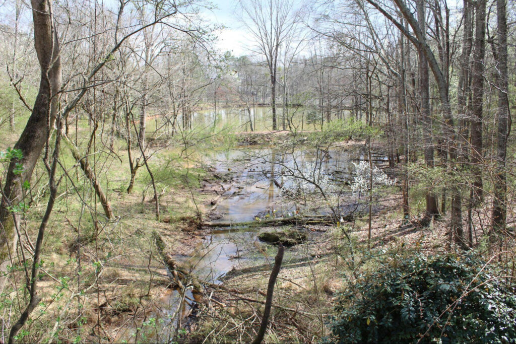 Intrenchment Creek flows through the South River watershed in unincorporated DeKalb County near the Atlanta Public Safety Training Center site. Credit: Jade Yeban/Inside Climate News
