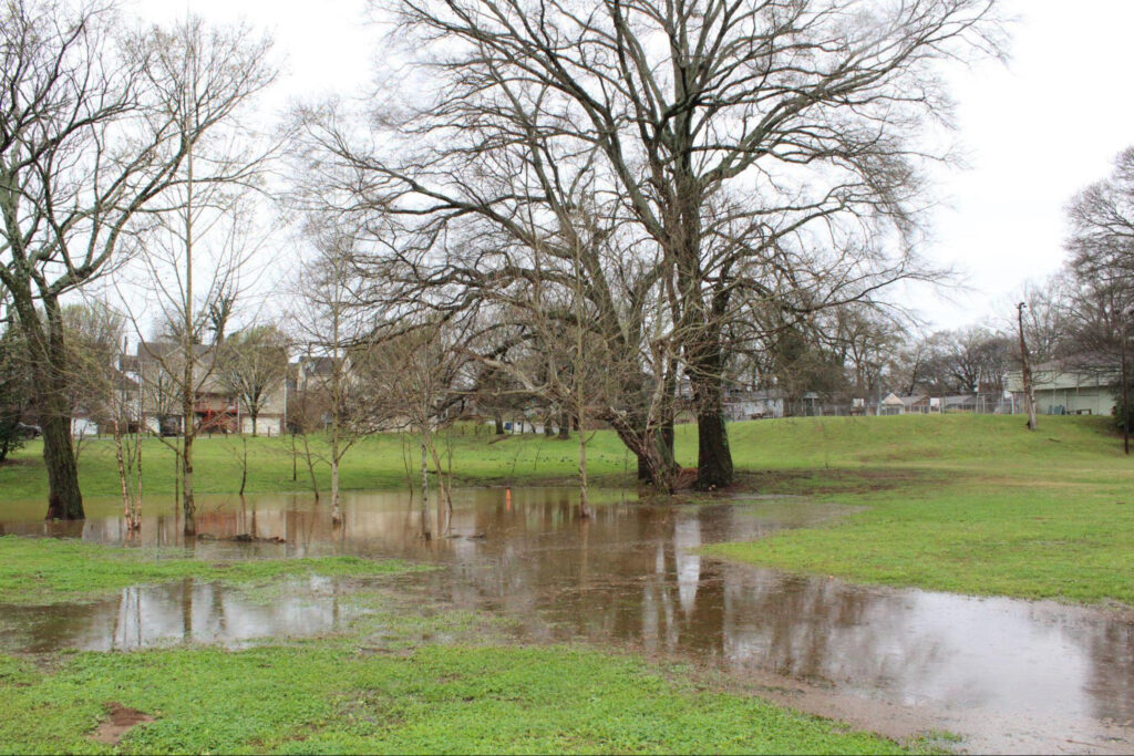 A small amount of standing water collects in Atlanta’s Peoplestown neighborhood after a moderate rainstorm. Residents say heavier storms can overwhelm aging infrastructure, leading to sewage flooding in the area. Credit: Jade Yeban/Inside Climate News
