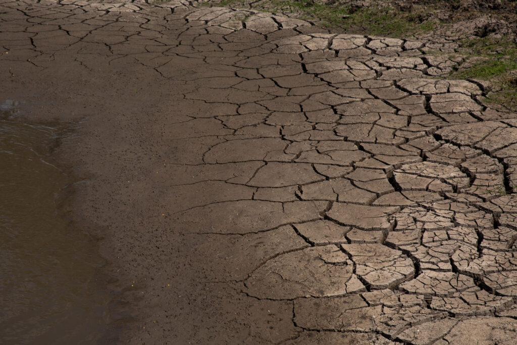 A pond is seen drying up on land in rural Jim Wells County, about 40 miles outside Corpus Christi. Credit: Dylan Baddour/Inside Climate News