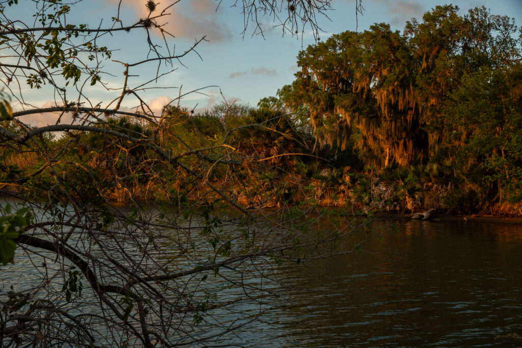 The Nueces River in Calallen on March 30. Credit: Dylan Baddour/Inside Climate News