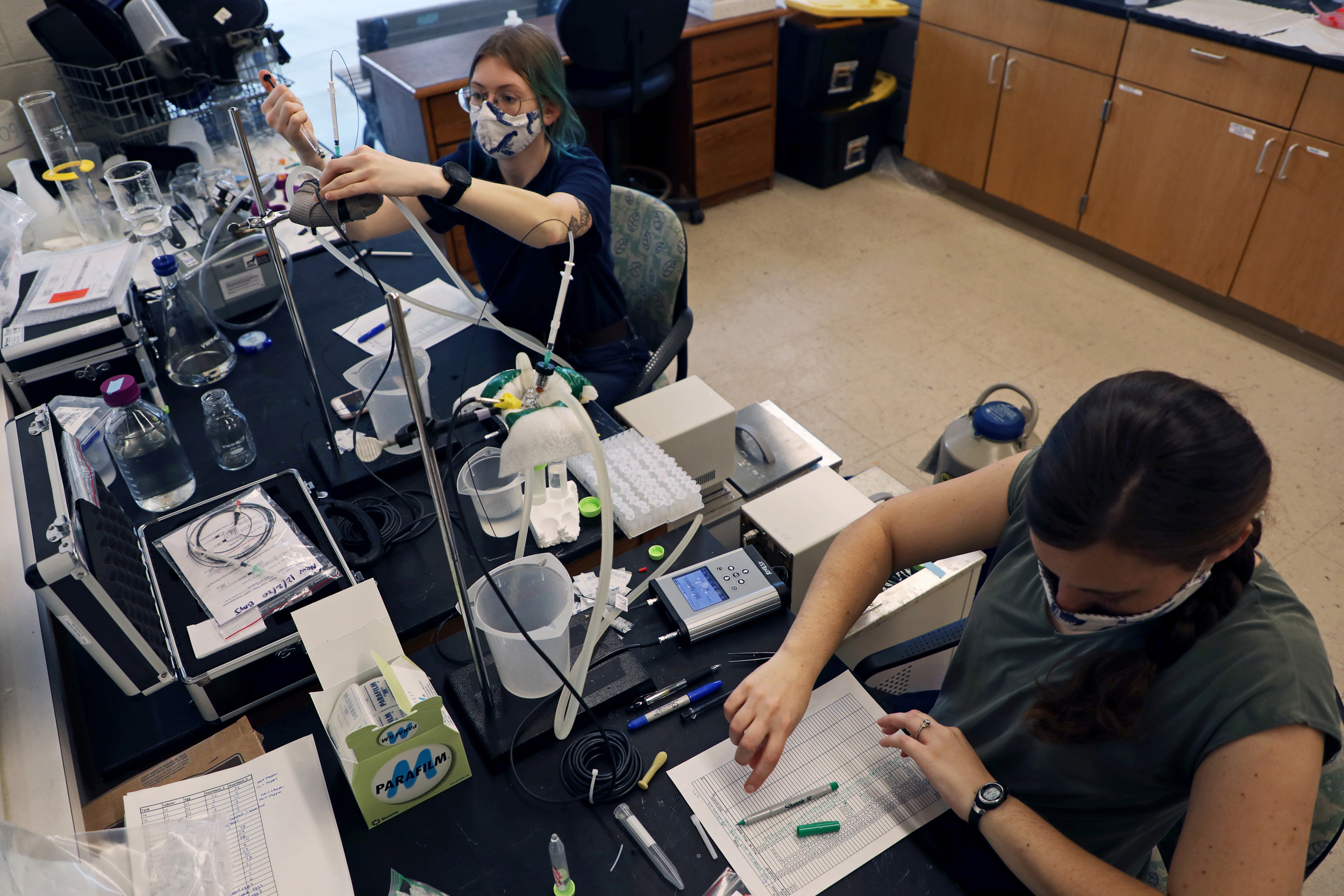 Ph.D. student Abigail Sisti (left) and Postdoctoral Research Associate Brittany Jellison work together at the Seawater Research Lab as part of the National Sea Grant College program study. Credit: Aileen Devlin/Virginia Sea Grant