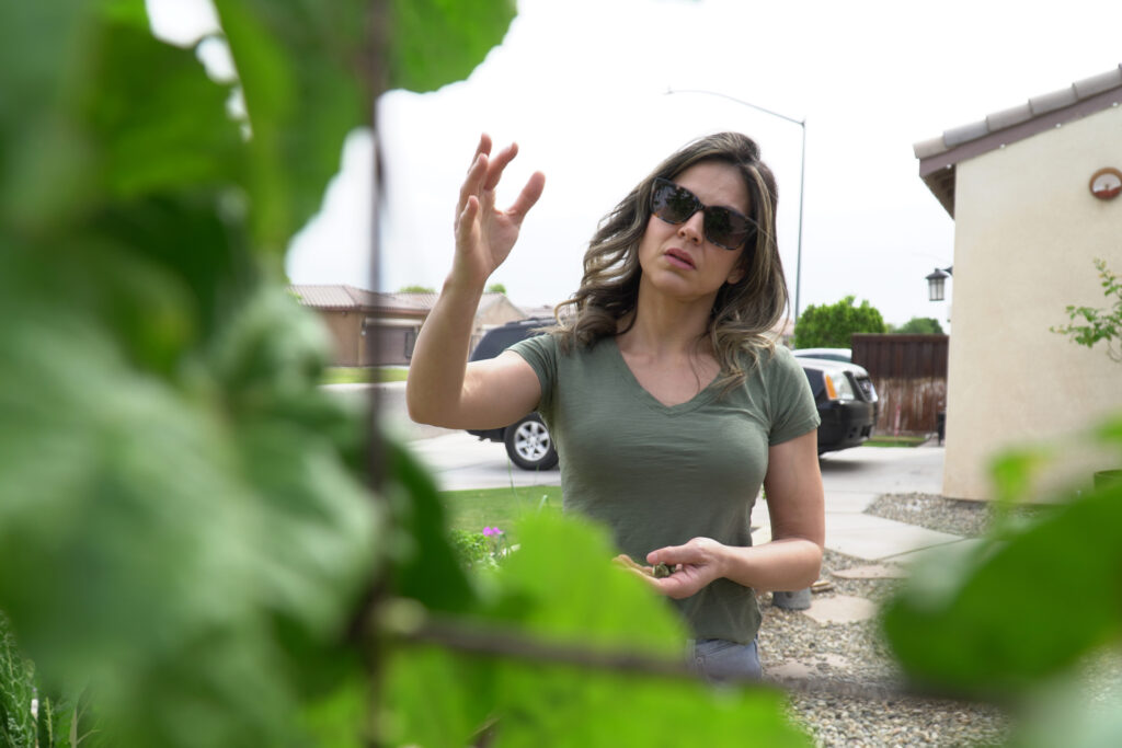 Margie Padilla tours her garden on April 16, where she holds a carrot that she thinks hasn’t grown well due to drier temperatures in the Imperial Valley. Credit: Steven Rodas/Inside Climate News