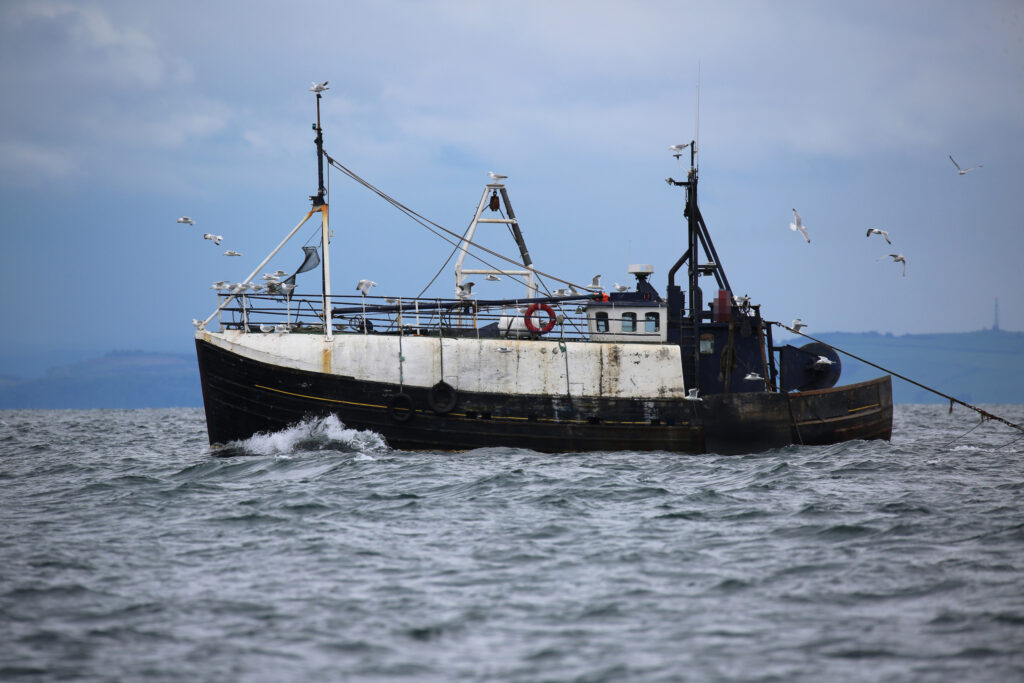 Europe’s Trawlers Extract a Huge ‘Cost to Society’ in Bycatch and Carbon Dioxide