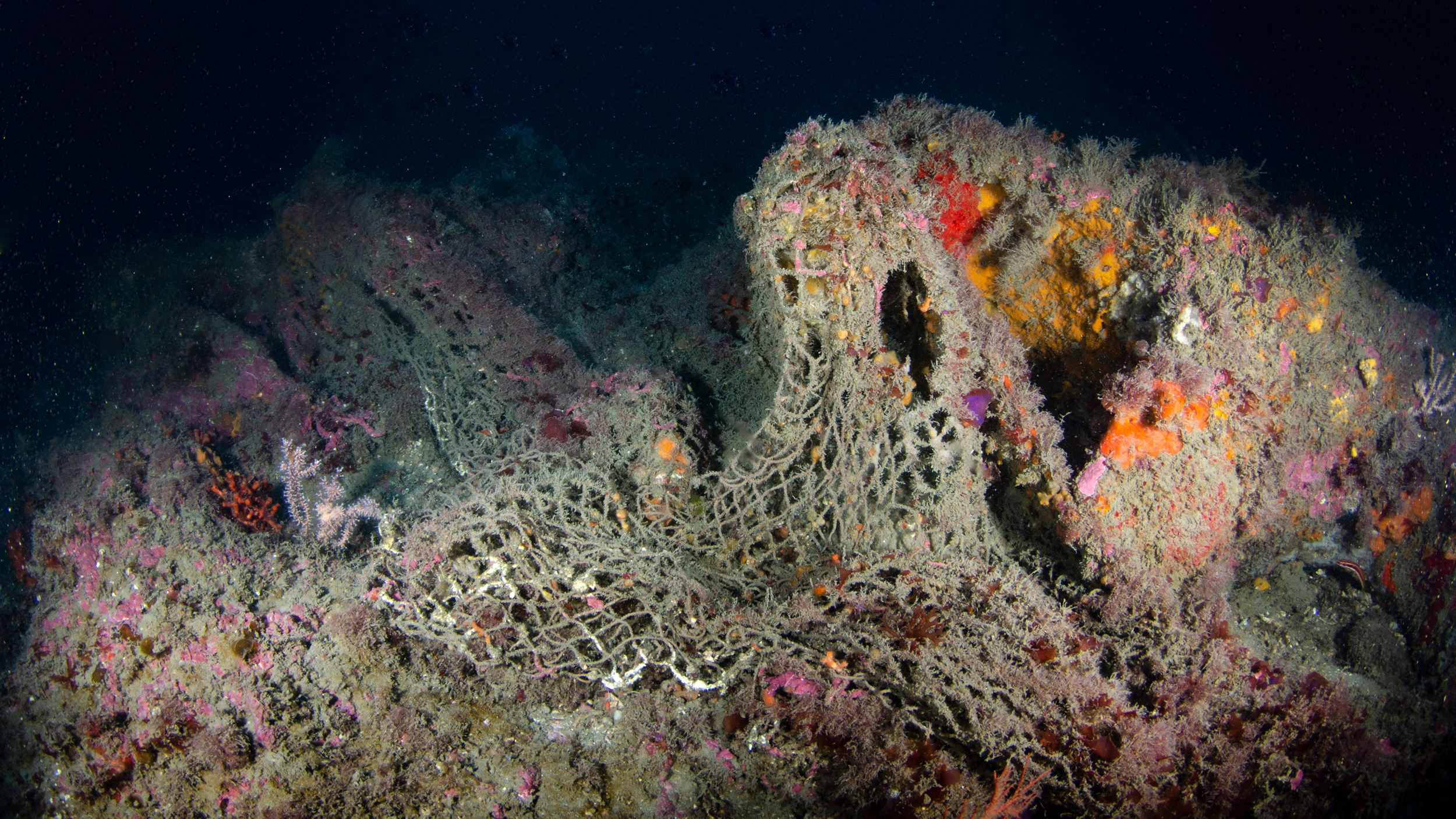 Trawling gear is hooked in the rocks and coralligenous reef off the coast of Andalucia, Spain. Credit: Enrique Talledo/Oceana