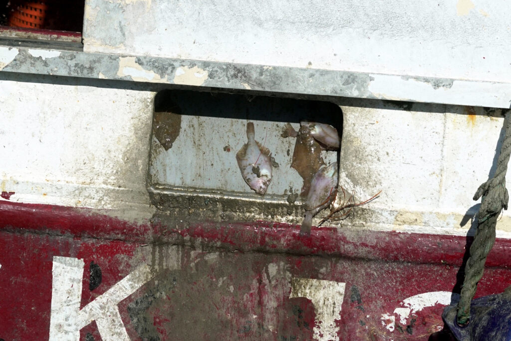 A fishing boat discards part of its catch. Credit: Open Seas/National Geographic Pristine Seas