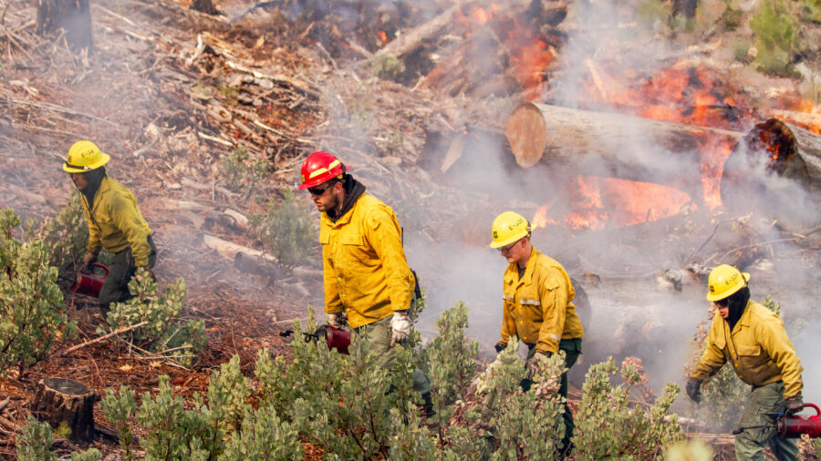 Forest Service Firefighters perform a prescribed burn at Letts Lake near Stonyford, Calif., in the Mendocino National Forest on March 5, 2025. Credit: Susan Knight-Ashley/USDA Forest Service