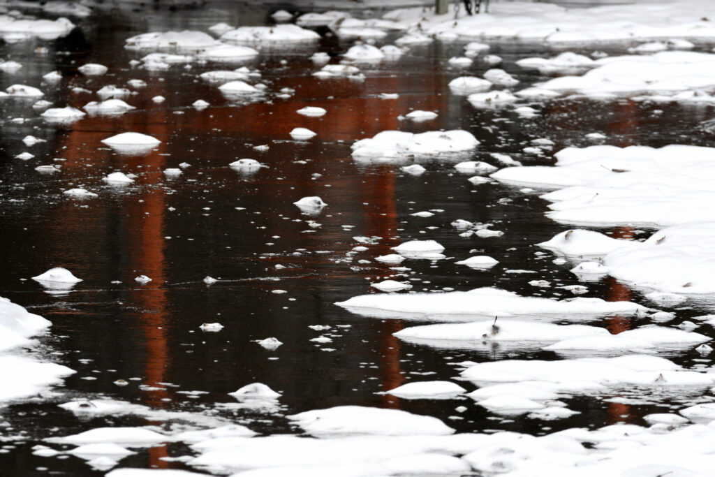 Severe Exposure to ‘Forever Chemicals’ During Pregnancy…