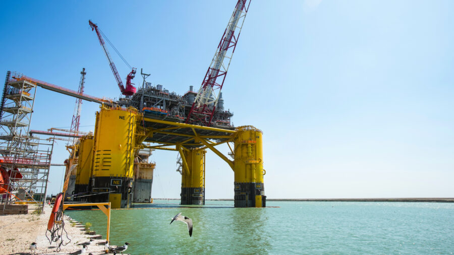 A seagull takes flight near the construction of a Shell oil platform in the Gulf of Mexico in 2022. Credit: Brett Coomer/Houston Chronicle via Getty Images