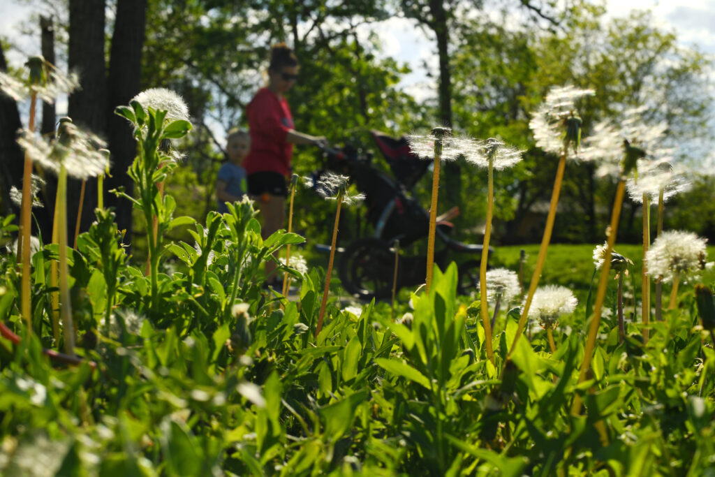 How Climate Change Makes Your Allergies Worse