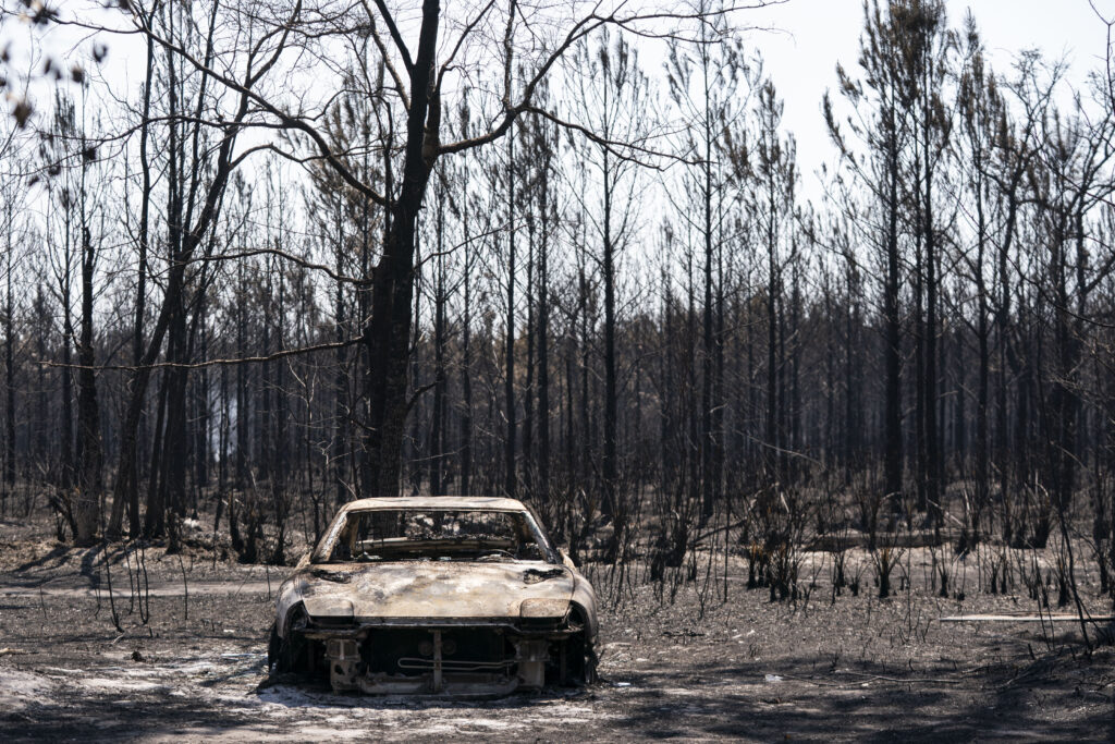 Drought Turns Southeastern US Into ‘Tinderbox’ as Wildfires Rage