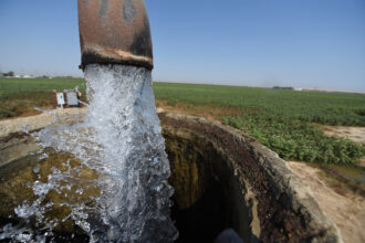 Irrigation water flows at a cotton field in Porterville, Calif. Credit: Robyn Beck/AFP via Getty Images