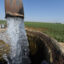 Irrigation water flows at a cotton field in Porterville, Calif. Credit: Robyn Beck/AFP via Getty Images