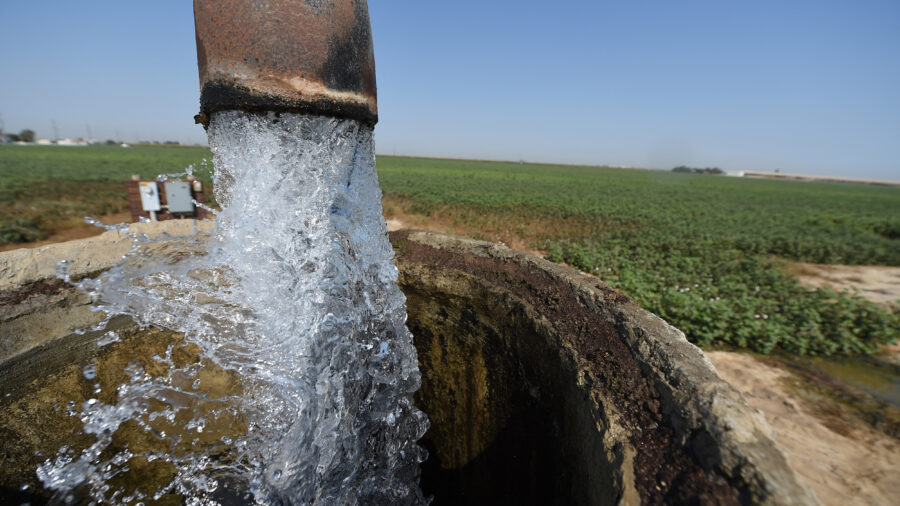 Irrigation water flows at a cotton field in Porterville, Calif. Credit: Robyn Beck/AFP via Getty Images