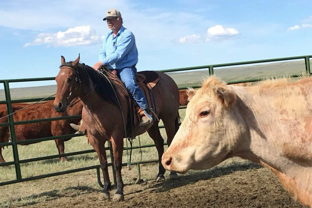 Dusty Emond is a fourth-generation cattle rancher whose cattle are just across a fence from American Prairie’s buffalo. Credit: Courtesy of JayAnn Demarais