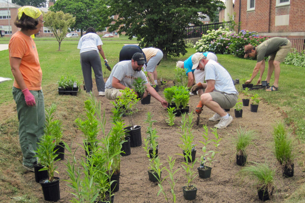To Battle Climate Change, a Baltimore Church Turns to Nature