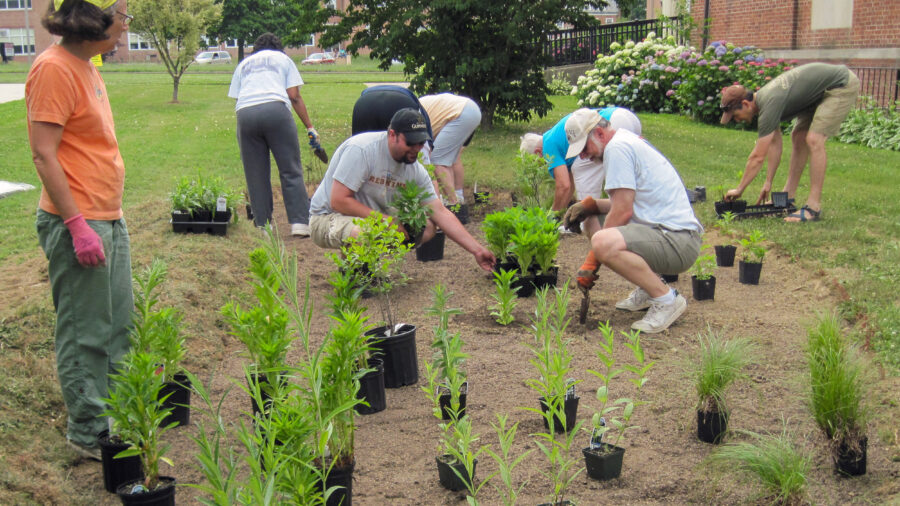 Members of Faith Presbyterian Church in northeastern Baltimore came together to plant a 200-square-foot rain garden. Credit: William Curtis/Faith Presbyterian