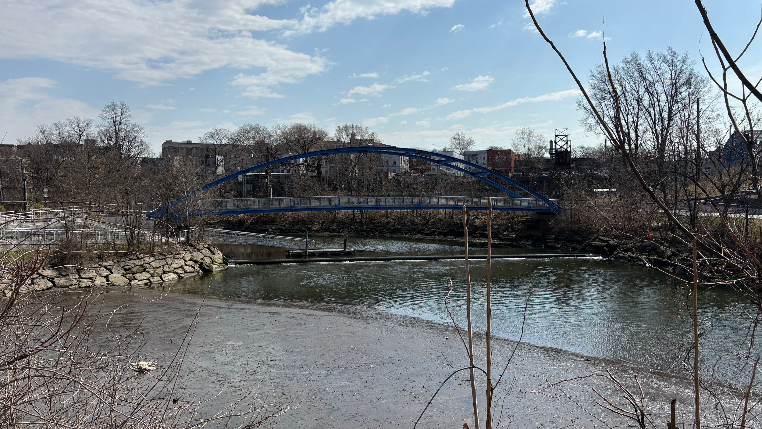 Dam Useless: Barriers Prevent a Migratory Fish from Reproducing