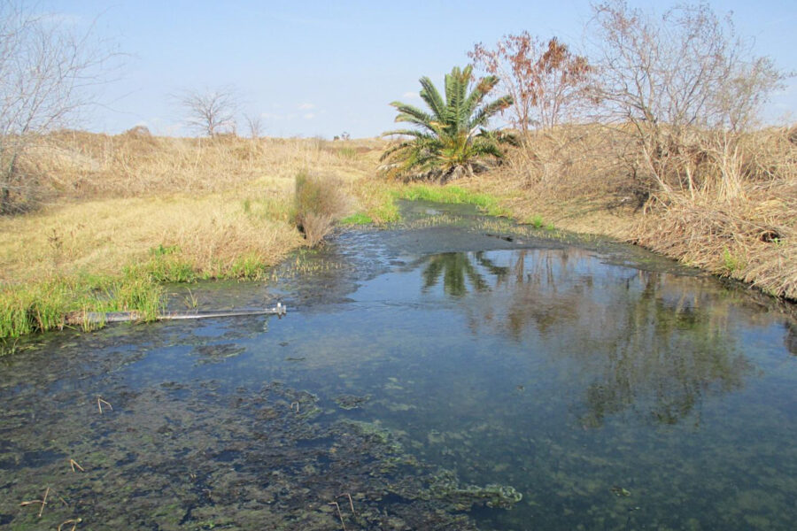 A Texas Commission on Environmental Quality investigator tested wastewater from Tesla’s Robstown lithium refinery on Feb. 12. Credit: Travis Prater/Texas Commission on Environmental Quality