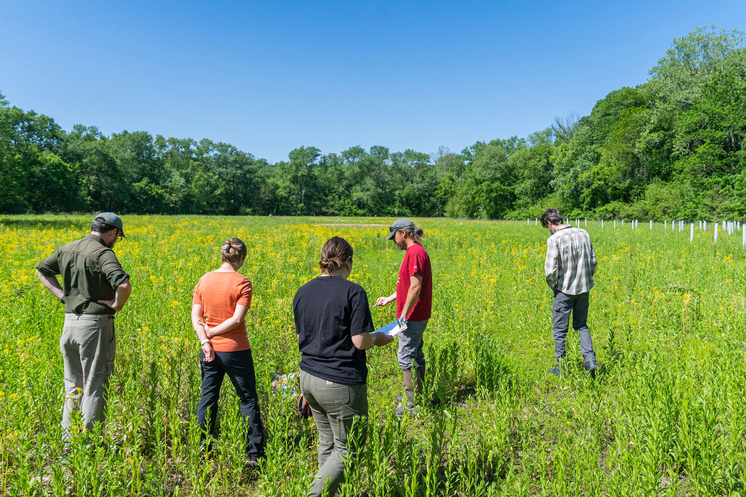 Sycamore Land Trust worked with USDA’s Natural Resources Conservation Service through the Environmental Quality Incentives Program to transform a 10-acre crop field at the Fix-Stoelting Nature Preserve, pictured on May 26, 2023, in Bean Blossom Township, Ind. Credit: Brandon O’Connor/NRCS