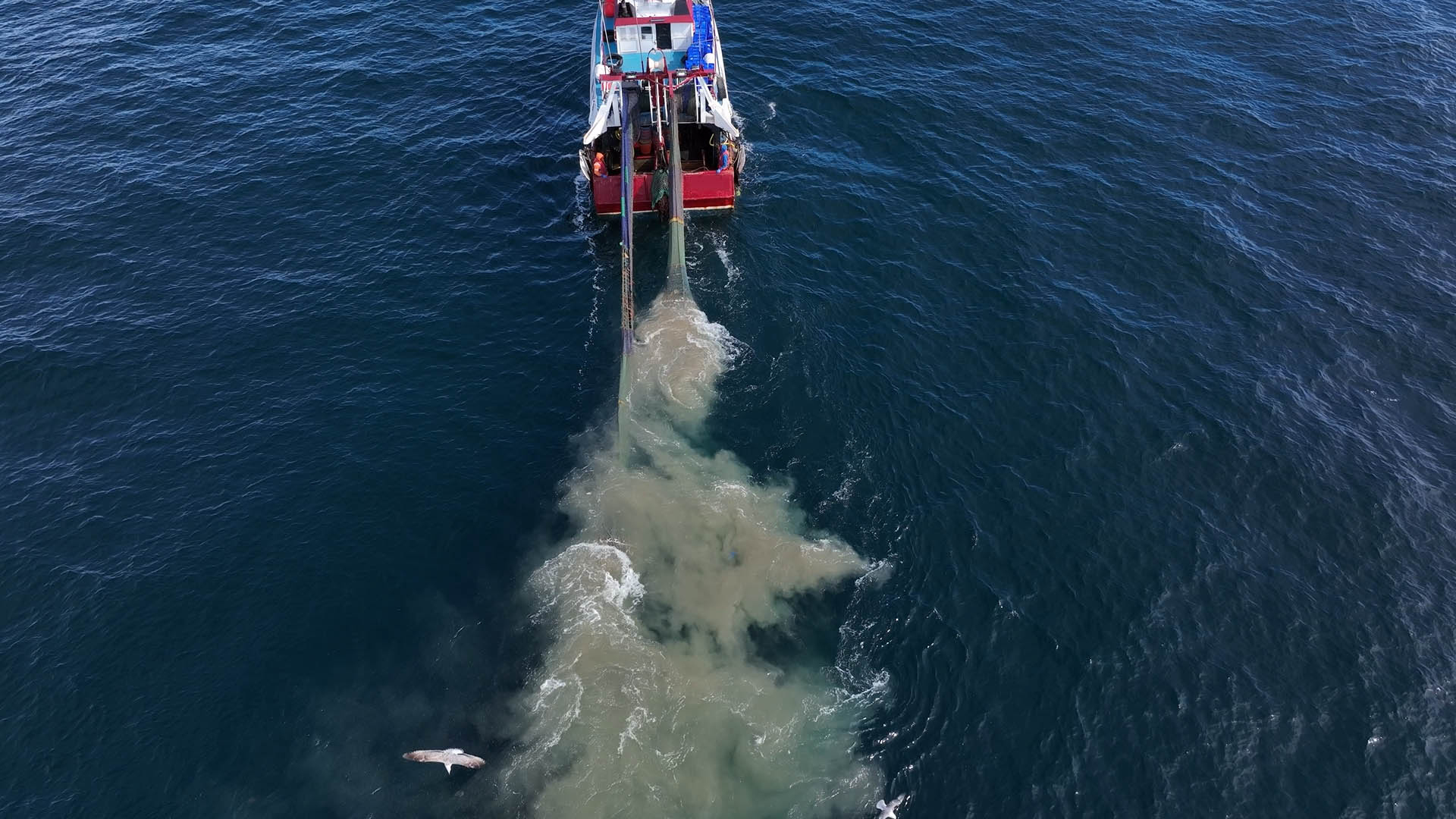 A plume of sediment is stirred up from the seabed by a bottom trawler. Credit: Open Seas/National Geographic Pristine Seas