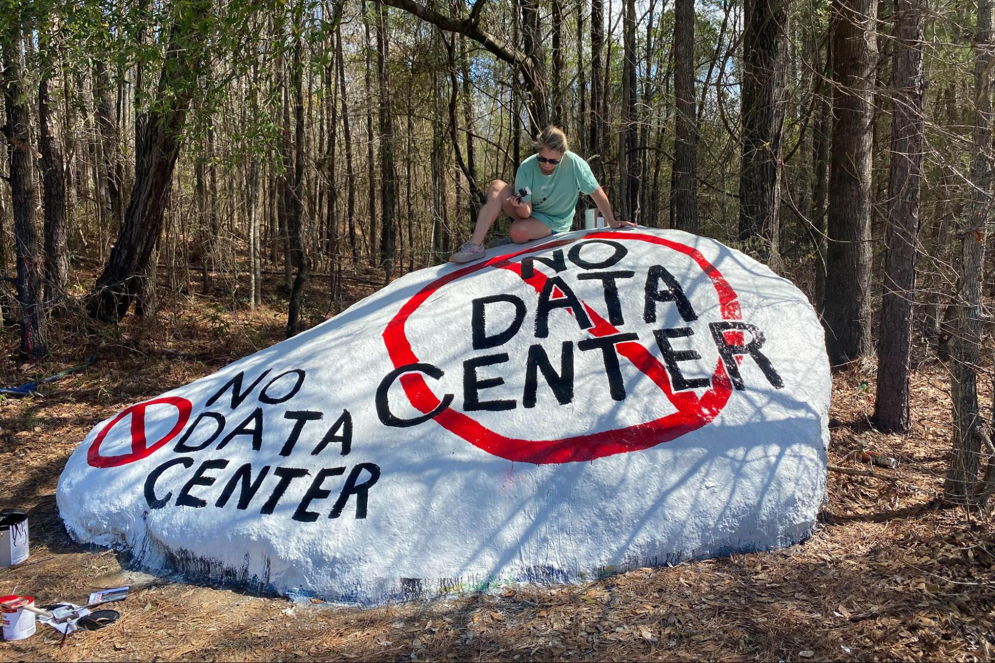 Kim Hicks paints a message opposing a proposed data center onto a neighborhood rock near the Project Ruby site in Muscogee County, Ga., part of a growing grassroots effort against the development. Credit: Courtesy of Kim Hicks