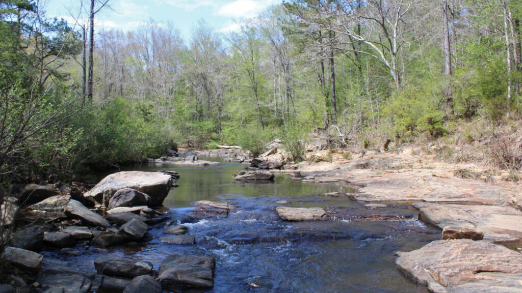 Kendall Creek flows through Muscogee County, a headwater stream that feeds the Chattahoochee River, where experts say even closed-loop systems can return heated, treated water that may affect downstream ecosystems. Credit: Jade Yeban/Inside Climate News
