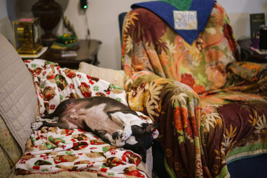 Chesnutt’s dog, Einstein, rests on a sofa at her home in Knickerbocker.