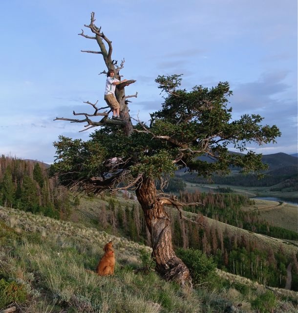 Credit: Bob Berwyn/Inside Climate News