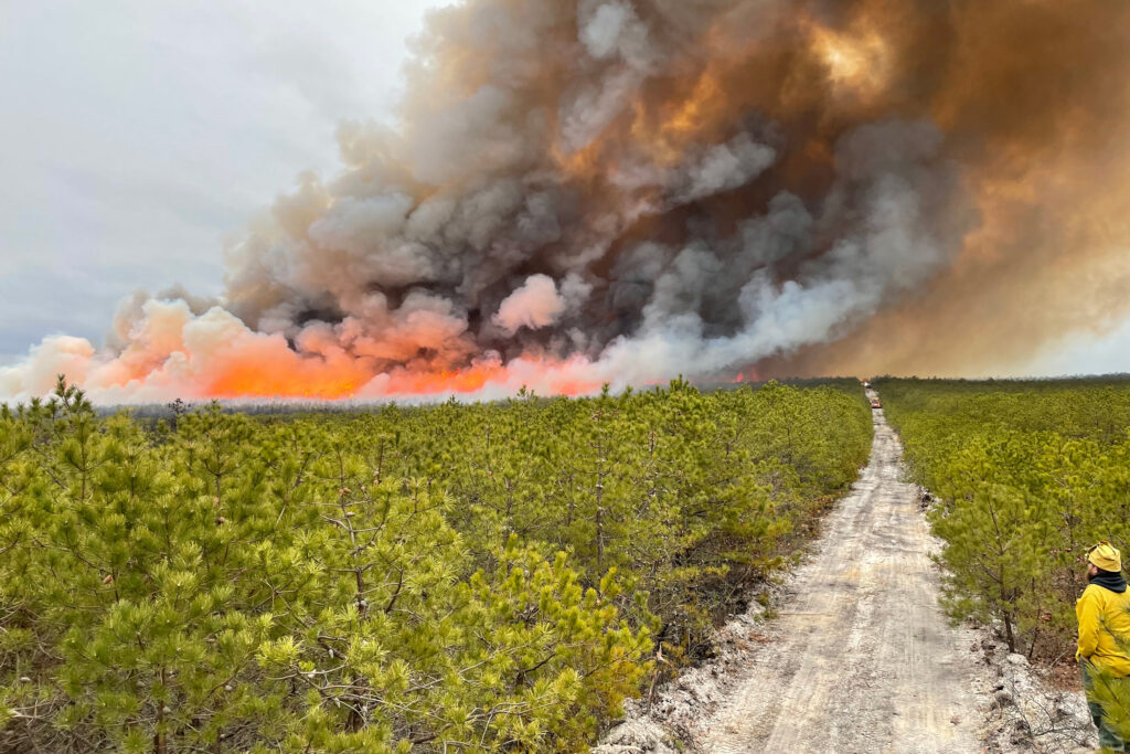The New Jersey Forest Fire Service, in cooperation with the U.S. Fish and Wildlife Service, conducts a prescribed burn near Warren Grove, N.J. Credit: Kevin Brown/USFWS