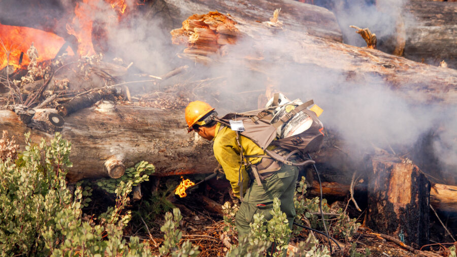 A Forest Service firefighter uses a torch kit during a prescribed burn on March 5, 2025, at Letts Lake near Stonyford, Calif., in the Mendocino National Forest. Credit: Susan Knight-Ashley/USDA Forest Service
