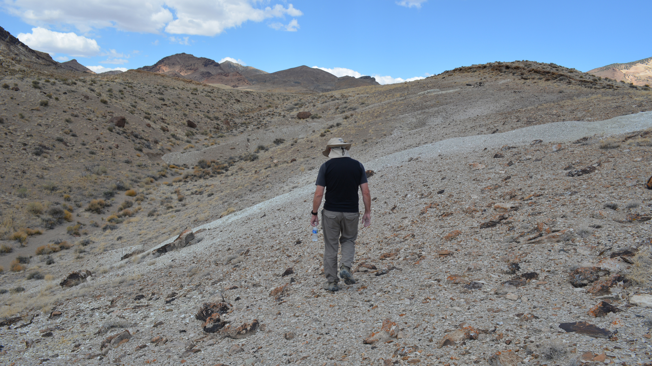 Rowe examines the site of the Rhyolite Ridge mine in an area where a rare wildflower found nowhere else in the world grows. Credit: Wyatt Myskow/Inside Climate News