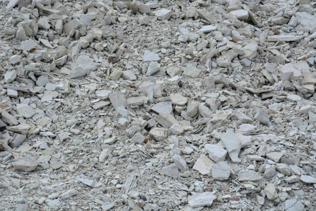 Lithium-rich clay is seen at the site of the proposed Rhyolite Ridge mine. The project has federal approval, and could become a major source of domestic lithium if built. But the mine has its controversy: growing at the mine site in the soil is a buckwheat found nowhere else in the world. Credit: Wyatt Myskow/Inside Climate News