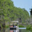 A school group tours the Okefenokee National Wildlife Refuge. Credit: Ryan Krugman/Inside Climate News
