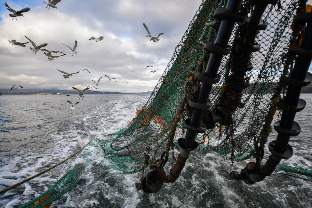 Federal Law Requires US Seafood Imports to Not Threaten Marine Mammals. A Lawsuit Is Pushing the Government to Finally Act.