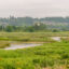 A view of wetlands in the Snohomish River Estuary near Everett, Wash. Credit: Wolfgang Kaehler/LightRocket via Getty Images