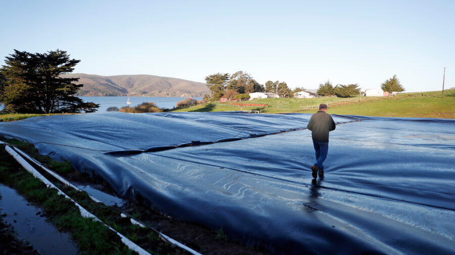 A view of a methane digester at Straus Dairy Farm in Marshall, Calif. Credit: Scott Strazzante/The San Francisco Chronicle via Getty Images