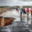 People cross a section of collapsed road during flash flooding linked to El Niño conditions on Nov. 22, 2023, near Garissa, Kenya. Credit: Luis Tato/AFP via Getty Images