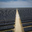 A solar farm in Iola, Texas. Credit: Jon Shapley/Houston Chronicle via Getty Images