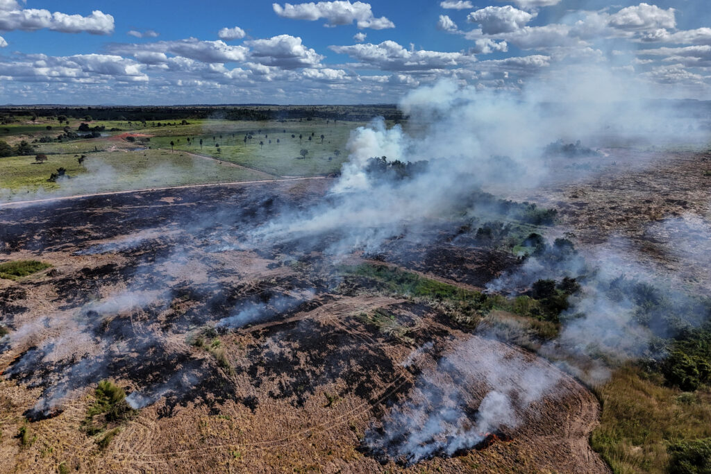 Amazon Deforestation at Eight-Year Low, Report Shows