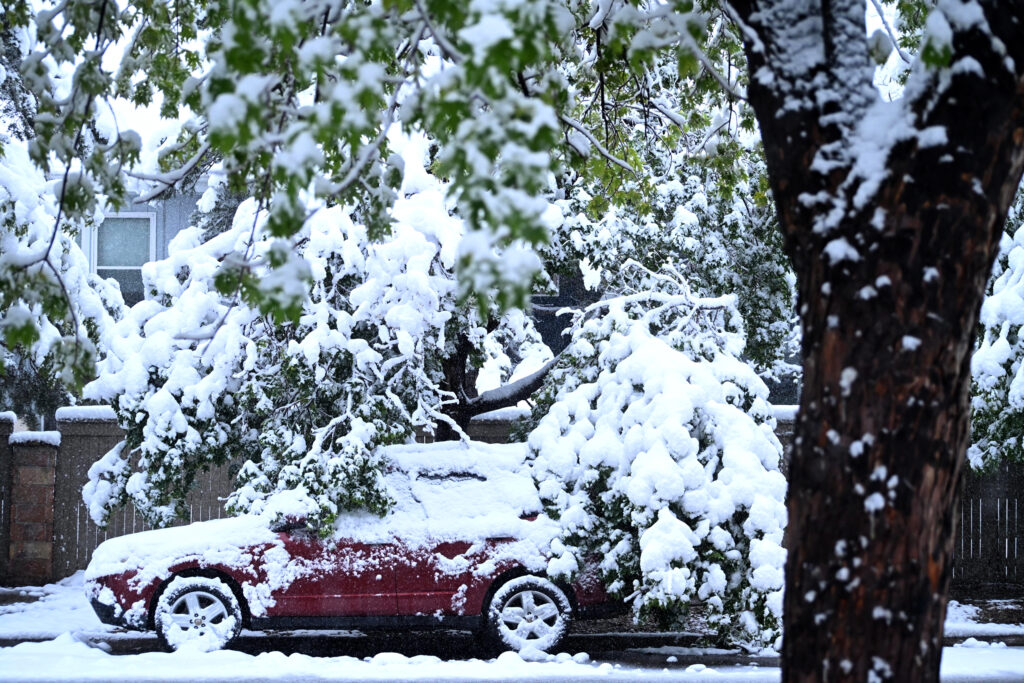 EnviroWireDaily — New Paper Shows Surges of Concentrated Precipitation Can Lead to Dryer Landscapes