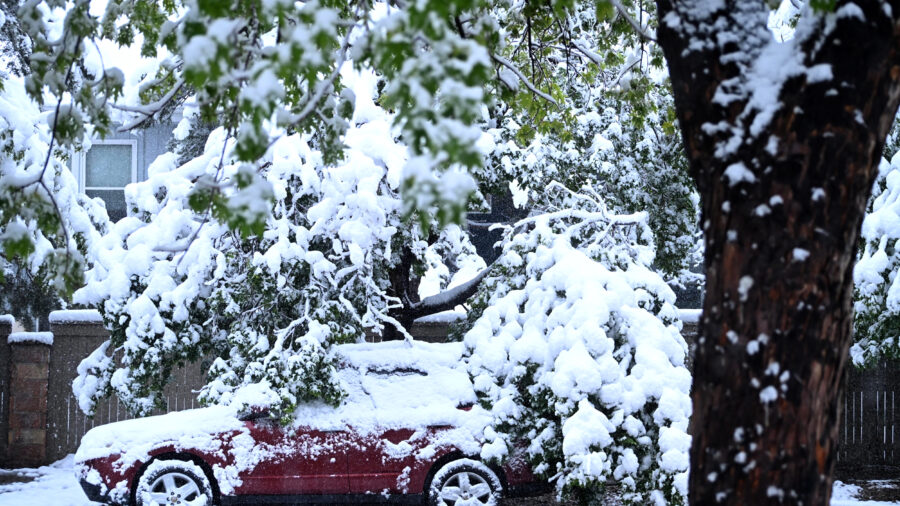 Tree limbs fall atop a snow-covered car in Boulder, Colo., during one of the largest May snowstorms in decades on May 6. Credit: Mark Makela/Getty Images