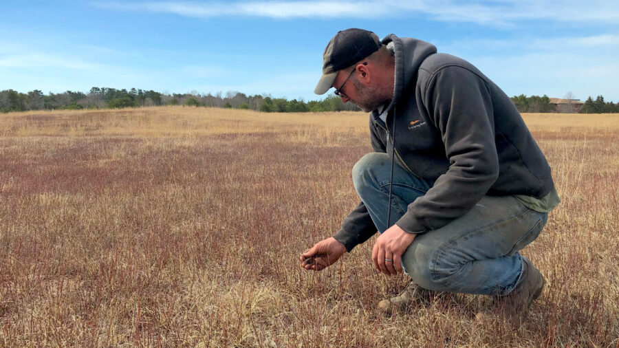 Seth Kroeck points out new spring growth in his wild blueberry fields at Crystal Spring Farm in Brunswick, Maine. Credit: Sydney Cromwell/Inside Climate News