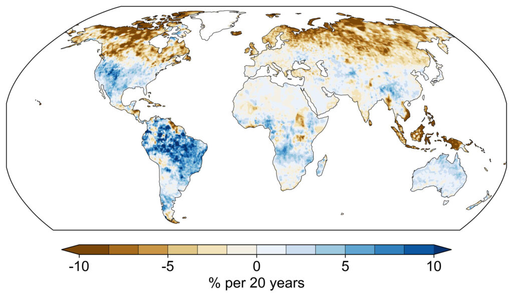 The Amazon and American West have experienced some of the highest rates of precipitation concentration globally since 1980.