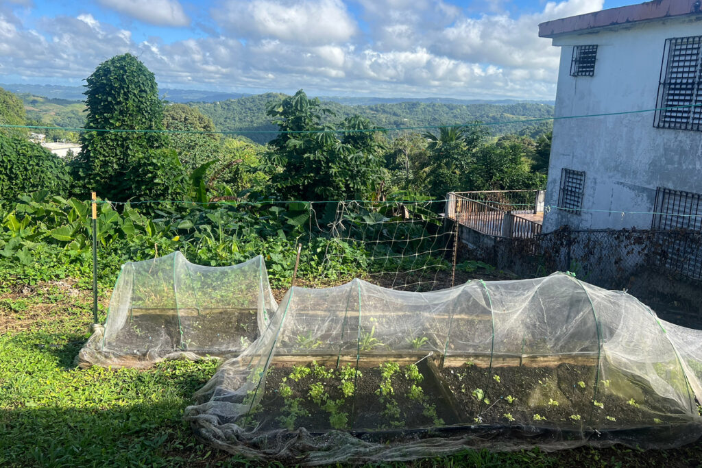 A view of the gardens planted outside La Cancha Sana.