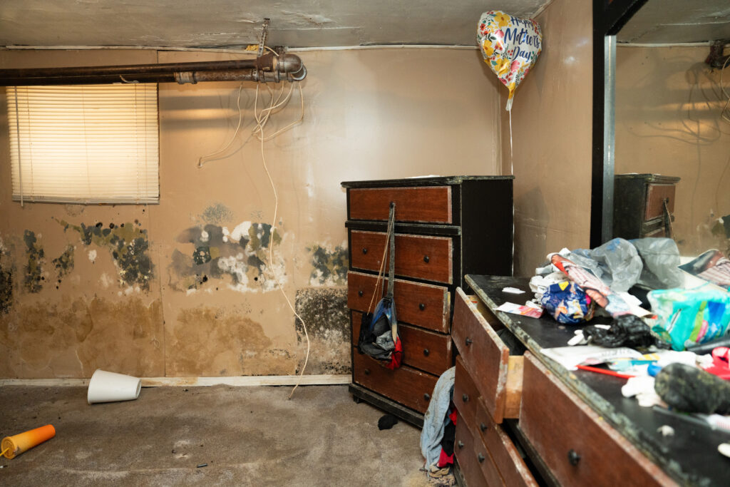 Mold covers the basement walls of a home in Chicago’s Austin neighborhood. Many people in the community are still dealing with mold issues from the 2023 flooding. Credit: Pat Nabong/Sun-Times