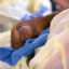 The medical team at Central Florida Zoo & Botanical Gardens treats a sloth received from Sloth World, where dozens of the animals died. Credit: Central Florida Zoo & Botanical Gardens